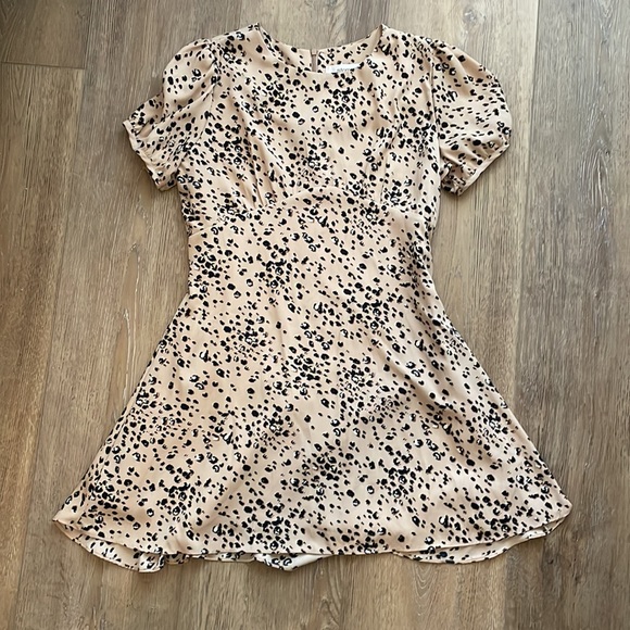 Storets Leopard Print Skater Mini Dress - Picture 2 of 4